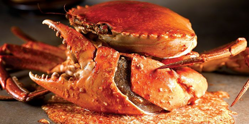 5 Refined Restaurants at Esplanade